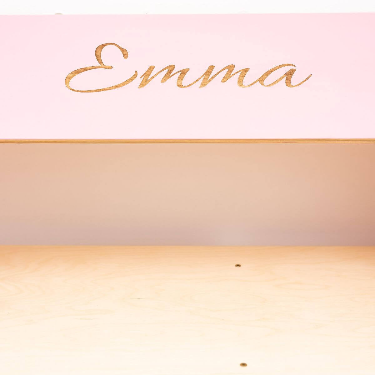 Pink Dollhouse Bookcase